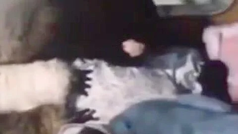 Retro vintage blonde big cock cumshot hairy lingerie cute