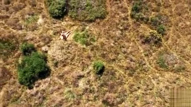 Naked guy likes boning girls on the sunny weekend