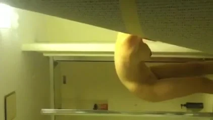 Window Shower Spy