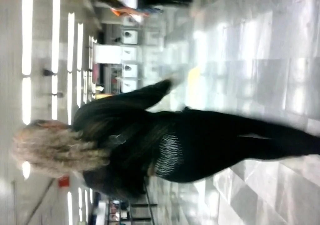 Persiguiendo a una sexy Milf en el metro