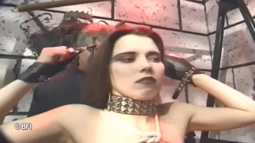 Virgin Bondage 5 - Dvd