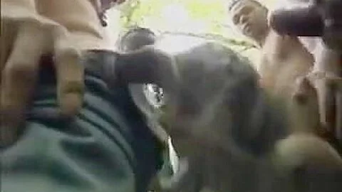 Ebony Slut Gang Banged In The Jungle
