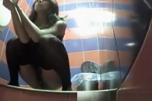 Hidden toilet