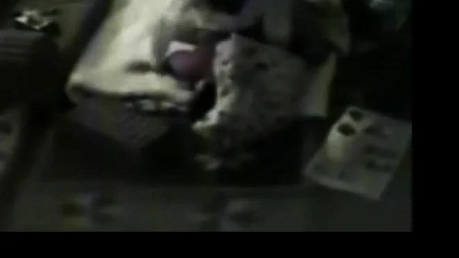 horny arab daddy fuck milf