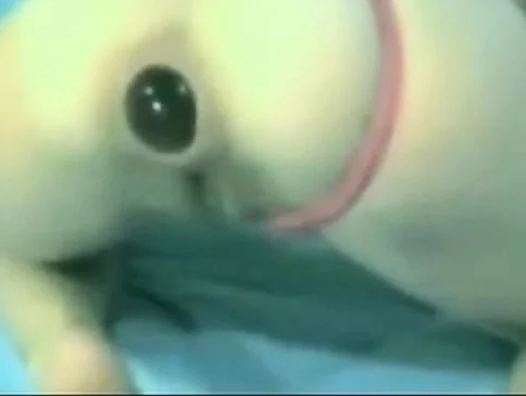 anal gape gaping asshole anal webcam