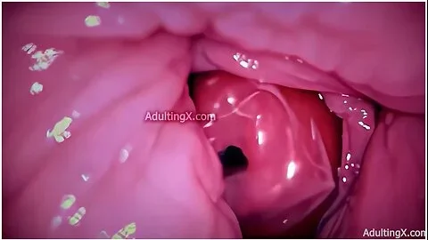Camera In Vagina, Cervix Pov, Tiny Cucked By Giant Couple, Cum In Condom And Creampie - Full Clip