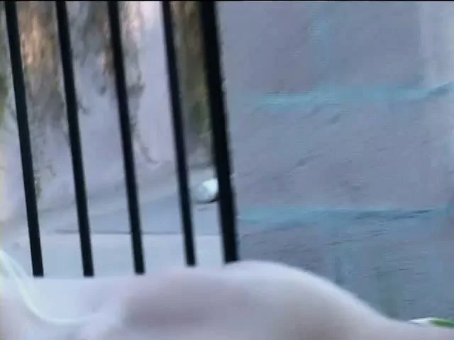Barbara jumps on top of him and slides his huge black dick deep in her fiery ass