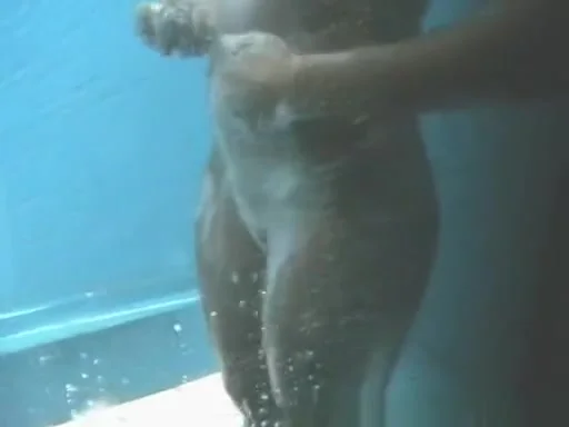 Exotic Changing Room, Amateur, Clip Uncut