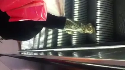 Big booty Mexican on escalator
