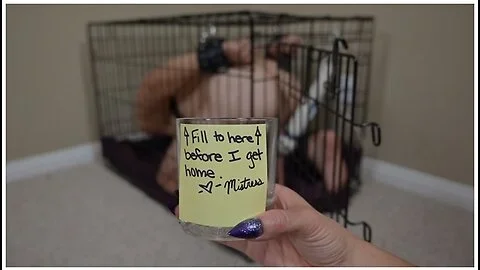 Bdsm Puppy Slave Fails To Cum Into Cup For Mistress - Hands Free Vibrator