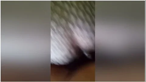 3 Sum With Baby Stepdaddy And Dildo On Mirror