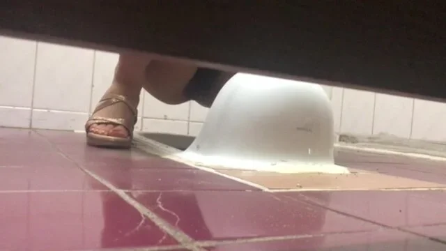 korean toilet