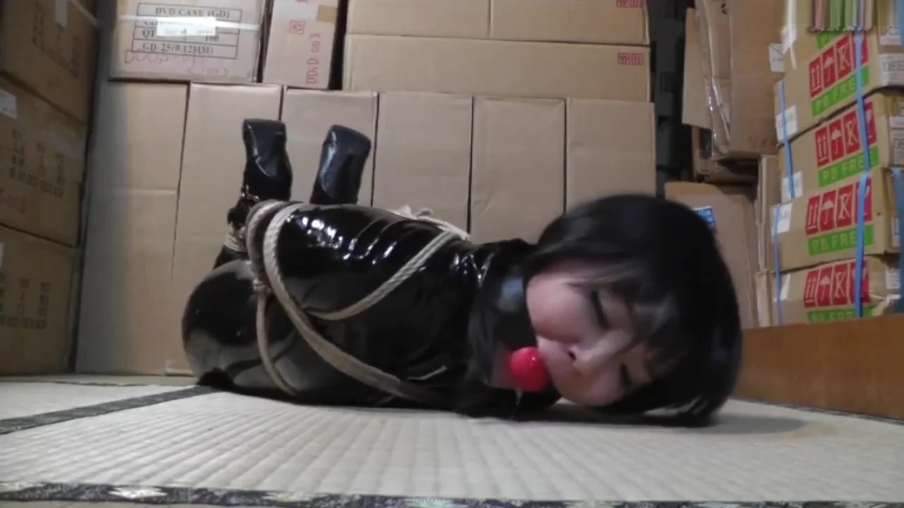 Secret Agent Nene boxed up
