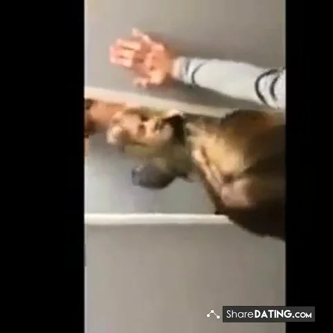 Blonde girl fucked in changing room and swallows cum