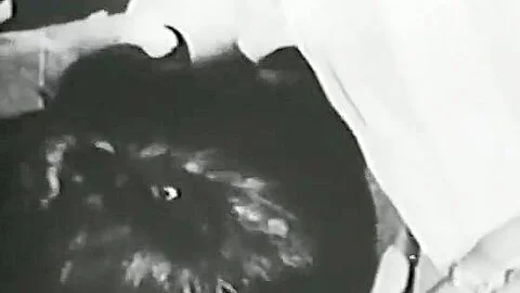 Retro Porn Archive Video: Reel Old Timers 16 02