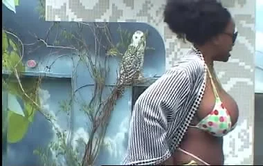 Black Beautiful
