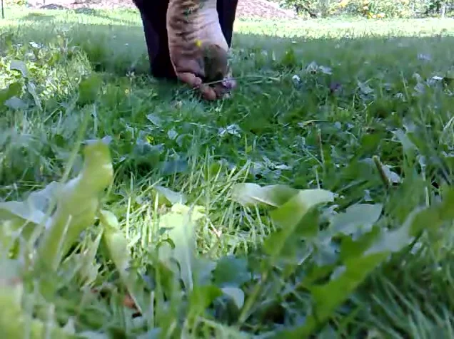 Flowers Crushed by Bare Feet