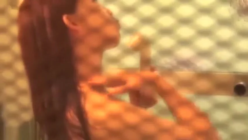 Astonishing adult clip Solo Female exclusive