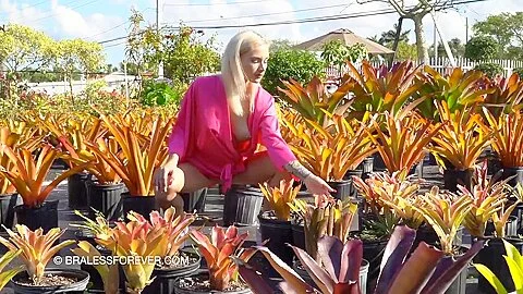 Blonde And Her Outdoor Solo Masturbation