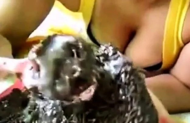 Brazilian Girl Eating Cum Cake