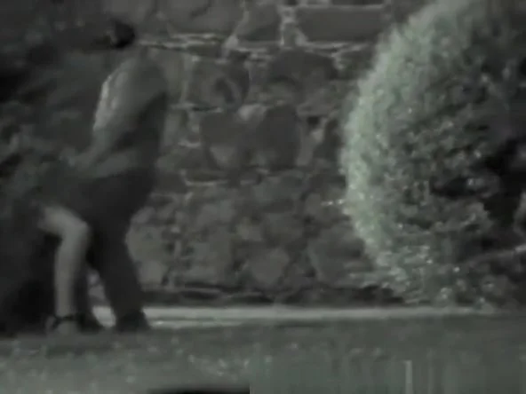 Couple fucking at night in park