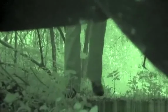 Girl in jeans pants peeing in the bushes