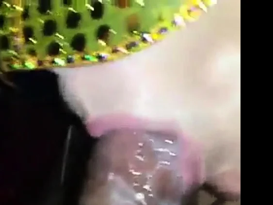 friend mom sucks me so badly