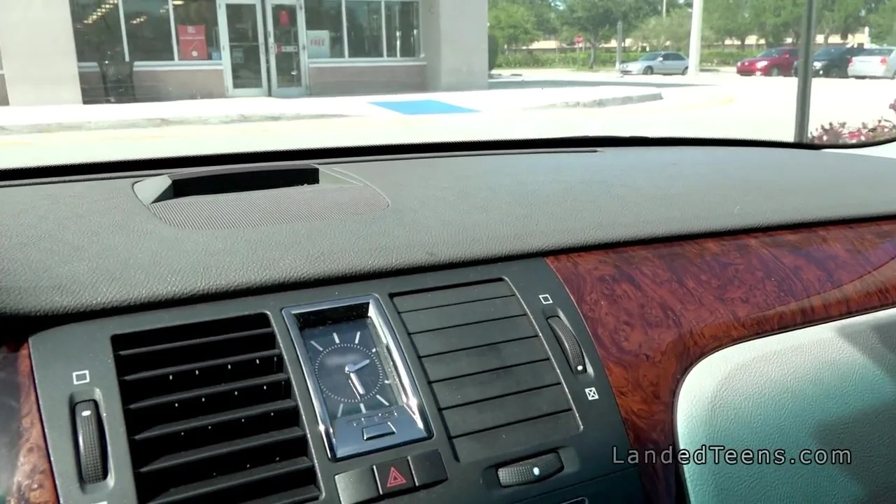 Nasty teen 18+ sucks driver dick and fucks for phone sex