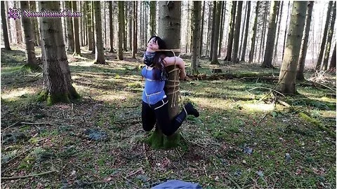 Girl To Tree In Forest And Suspended; Almost Dicovered! - Verified Amateurs