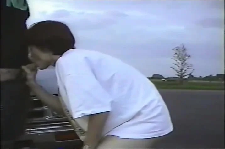 Public Sex by the Highway (short haired cutie)