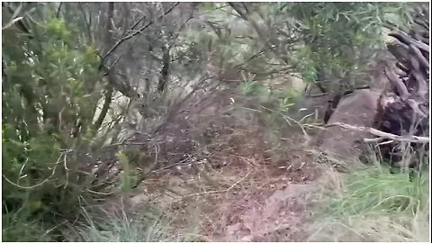 Risky Outdoor Blowjob Fuck And Creampie - Spectators