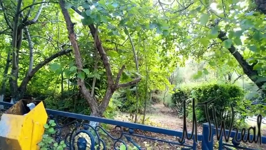Mtwreal - Risky Flashing In Public Park
