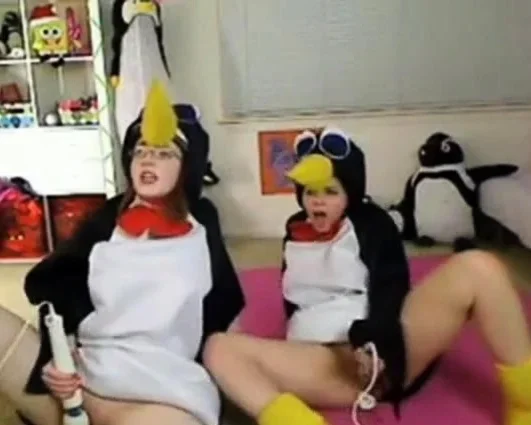 Teen penguins on cam