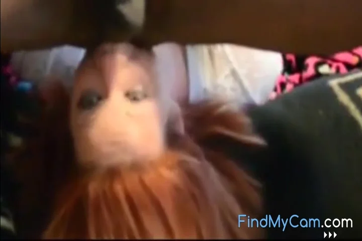 Excellent Porn Video Webcam Private Crazy Watch Show