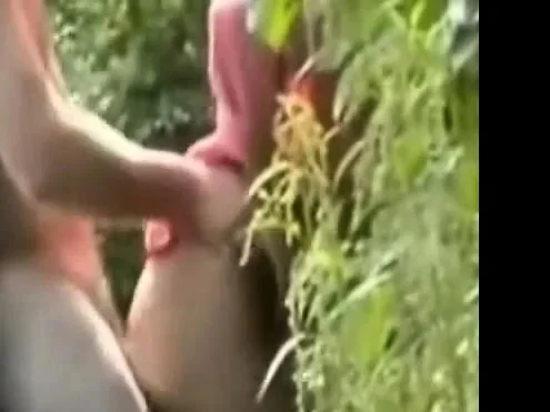 Hubby hides to watch his wife fuck outdoors