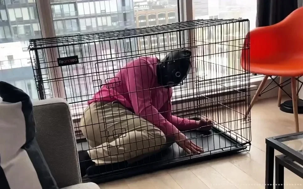 Lord Goddess Maria - Introducing The Slave To Its Cage