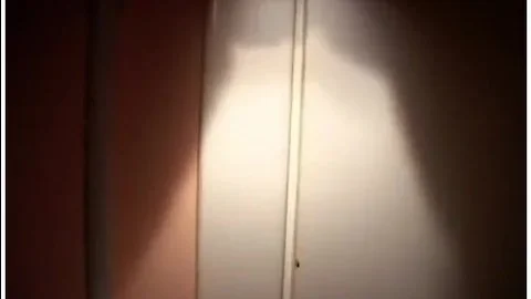Italiana zorra