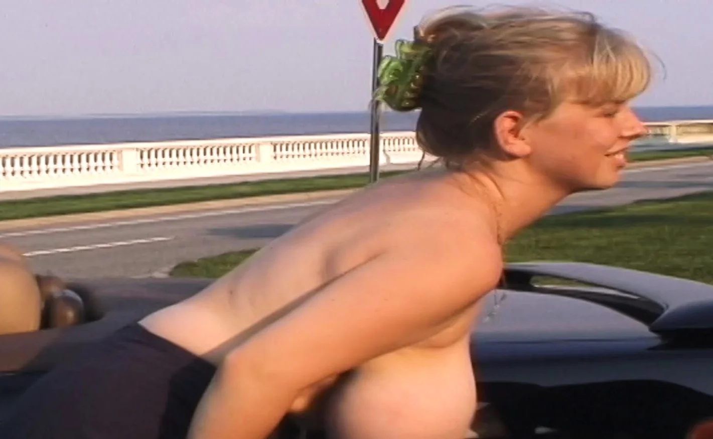 Biggest Tits Ever Flashed In Public
