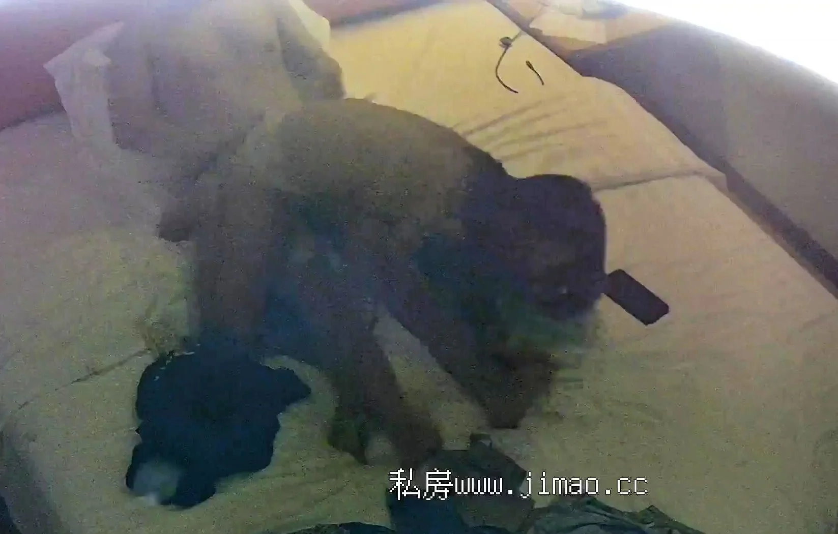 Hot brunette teen changing on hidden cam