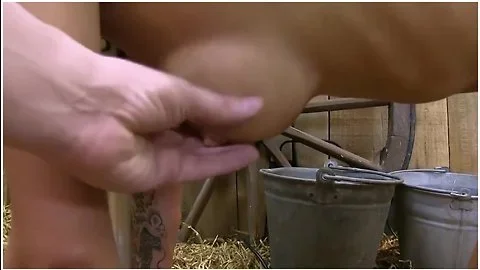 Cowgirl 112