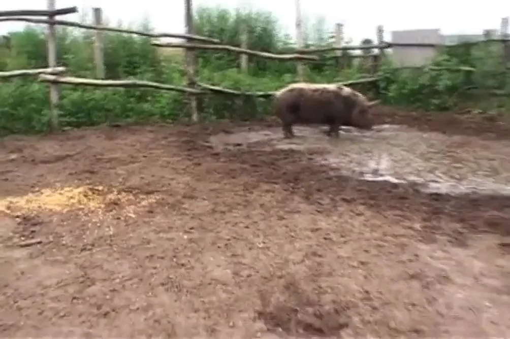 The Farm Of Xxl Mature Sluts - 1