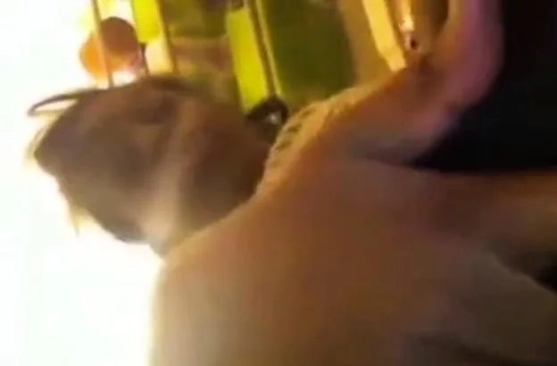 black wet pussy close up 71