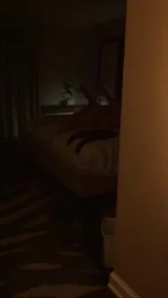 Spying on hotel couple