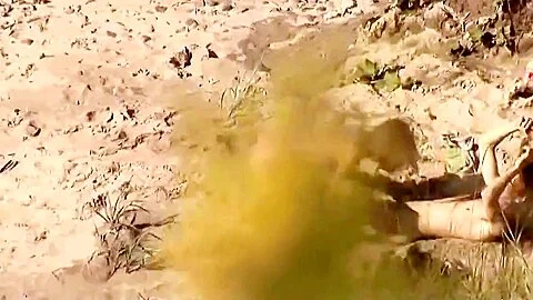Voyeur on public beach. Hot young couple sex