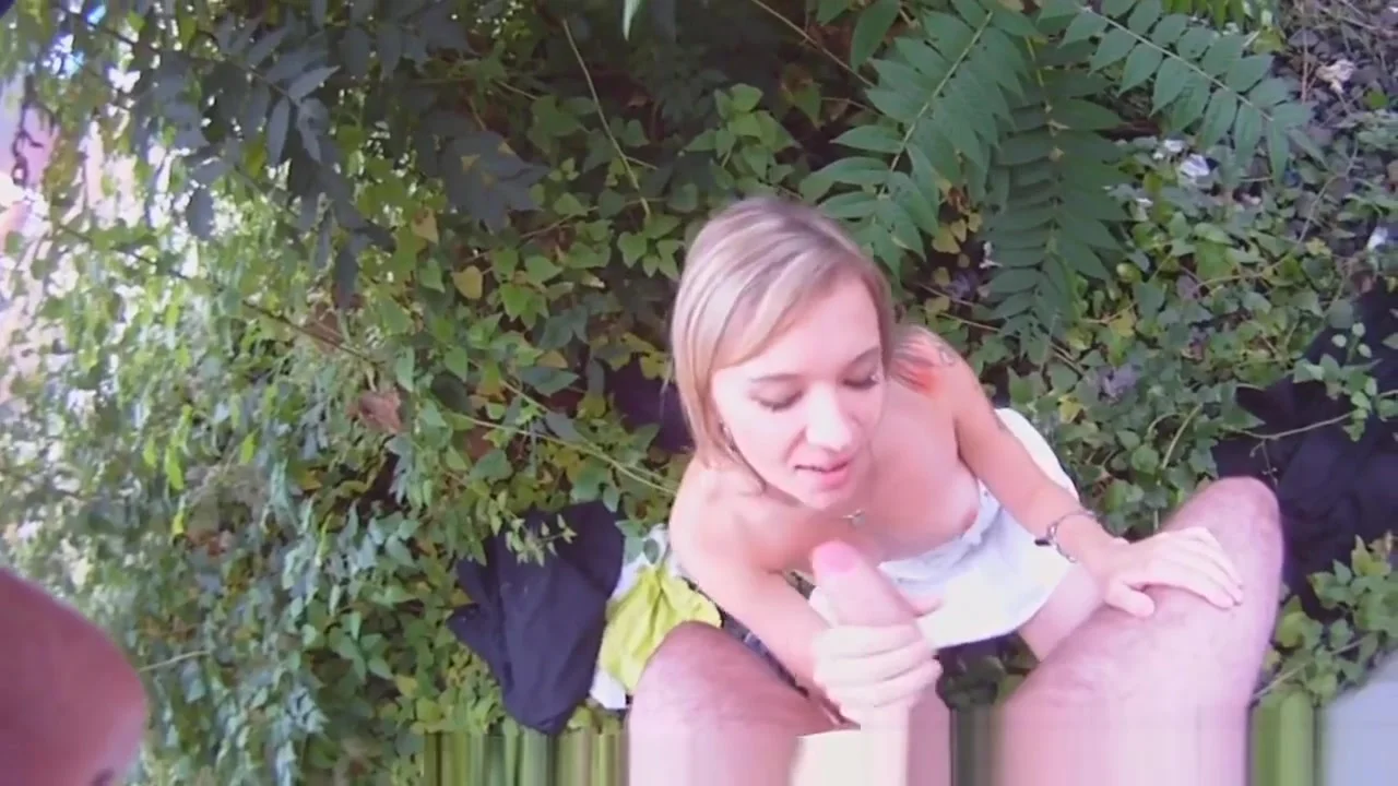 Gorgeous Euro Pickedup And Facialized In Pov