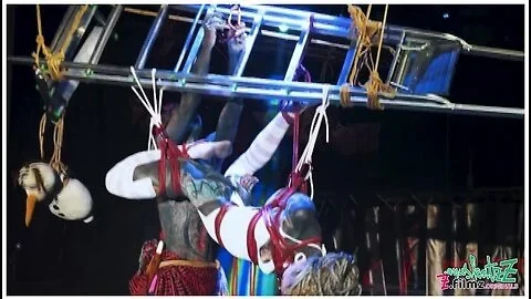 Intense Shibari Live Show With Anuskatzz And Lily Lu From Z-filmz - Dirty Dreaz Extrem Bdsm Bondage