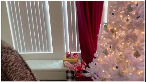 Step Moms Christmas Gift.mp4