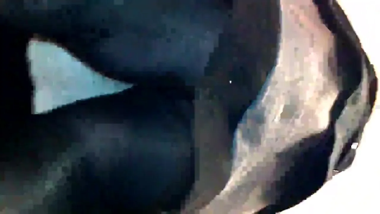 TURKISH MATURE WOMEN'S UPSKIRT PANTYHOSE 6