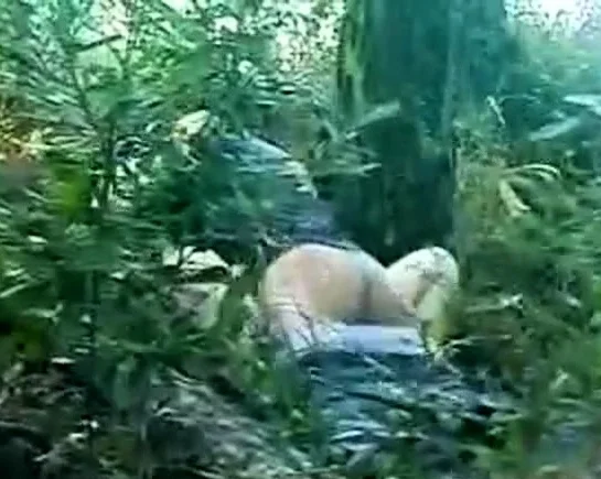 Chinese Outdoor Sex 1