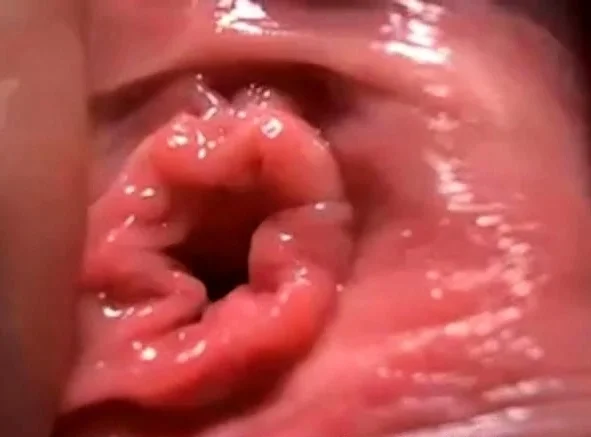 Milf perfect close up